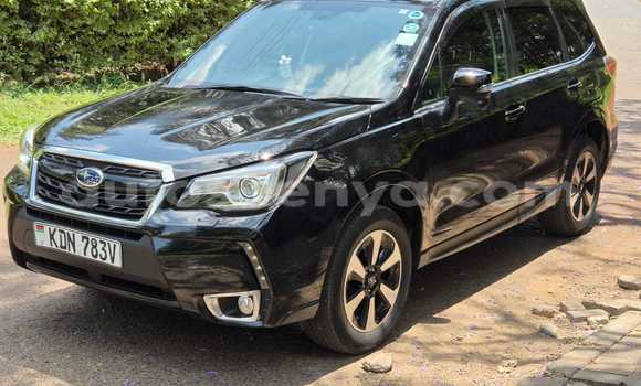 Nunua Ilio tumika Subaru Forester Nyeusi Gari ndani ya Nairobi nchini Nairobi Nunua Ilio tumika Subaru Forester Nyeusi Gari ndani ya Nairobi nchini Nairobi