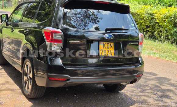 Nunua Ilio tumika Subaru Forester Nyeusi Gari ndani ya Nairobi nchini Nairobi Nunua Ilio tumika Subaru Forester Nyeusi Gari ndani ya Nairobi nchini Nairobi