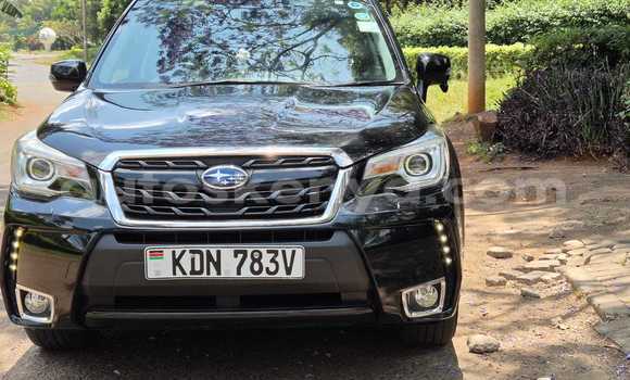 Nunua Ilio tumika Subaru Forester Nyeusi Gari ndani ya Nairobi nchini Nairobi Nunua Ilio tumika Subaru Forester Nyeusi Gari ndani ya Nairobi nchini Nairobi