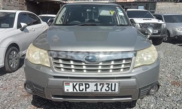 Nunua Ilio tumika Subaru Forester Nyingine Gari ndani ya Bute nchini Kaskazini Mashariki mwa Kenya