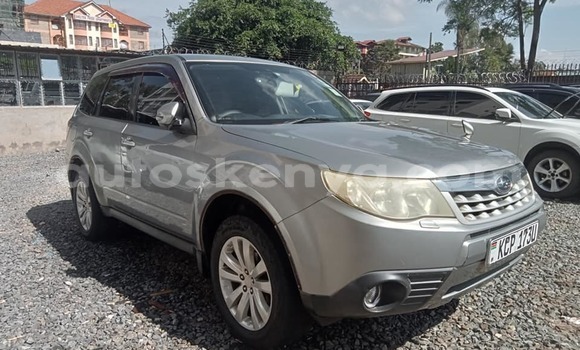 Buy Used Subaru Forester Other Car in Bute in Northeast Kenya Buy Used Subaru Forester Other Car in Bute in Northeast Kenya