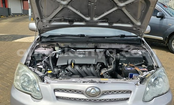 Buy Used Toyota Allex Other Car in Nairobi in Nairobi