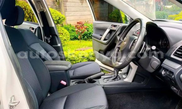 Buy Used Subaru Forester White Car in Bomet in Rift Valley Buy Used Subaru Forester White Car in Bomet in Rift Valley