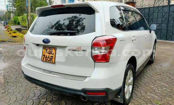 Buy Used Subaru Forester White Car in Bomet in Rift Valley Buy Used Subaru Forester White Car in Bomet in Rift Valley