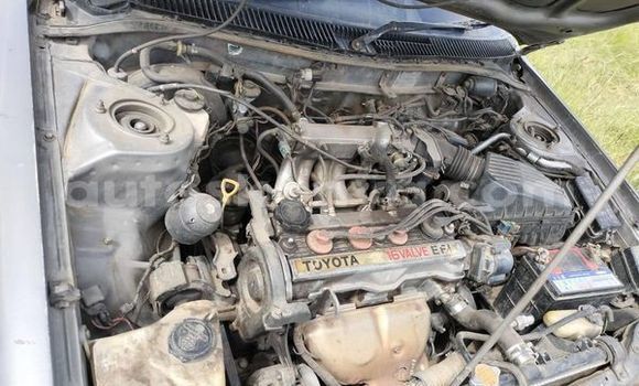 Buy Used Toyota Alphard Other Car in Nakuru in Rift Valley Buy Used Toyota Alphard Other Car in Nakuru in Rift Valley