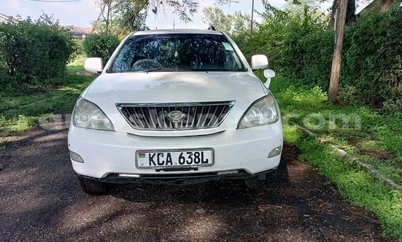 Buy Used Toyota Harrier White Car in Busia in West Kenya Buy Used Toyota Harrier White Car in Busia in West Kenya