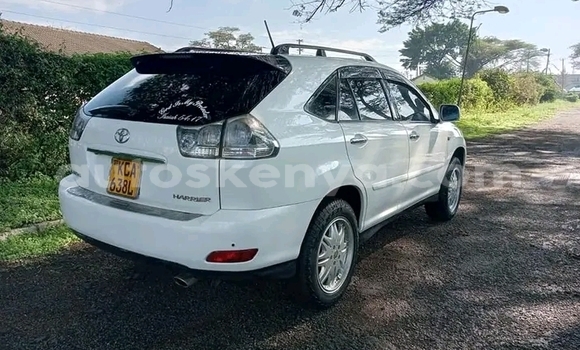 Buy Used Toyota Harrier White Car in Busia in West Kenya Buy Used Toyota Harrier White Car in Busia in West Kenya