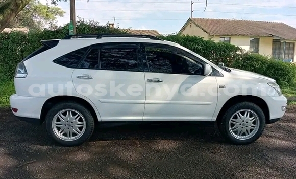 Buy Used Toyota Harrier White Car in Busia in West Kenya Buy Used Toyota Harrier White Car in Busia in West Kenya