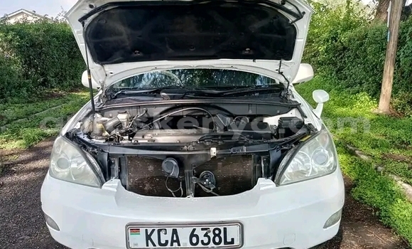 Buy Used Toyota Harrier White Car in Busia in West Kenya Buy Used Toyota Harrier White Car in Busia in West Kenya
