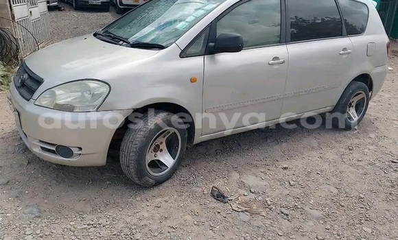 Buy Used Toyota Ipsum Other Car in Bute in Northeast Kenya Buy Used Toyota Ipsum Other Car in Bute in Northeast Kenya