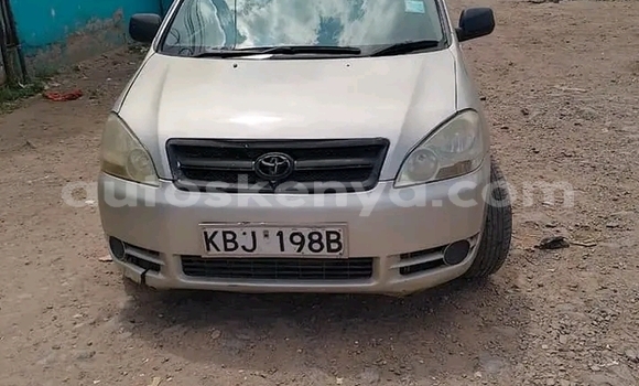 Buy Used Toyota Ipsum Other Car in Bute in Northeast Kenya Buy Used Toyota Ipsum Other Car in Bute in Northeast Kenya
