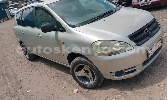 Buy Used Toyota Ipsum Other Car in Bute in Northeast Kenya Buy Used Toyota Ipsum Other Car in Bute in Northeast Kenya