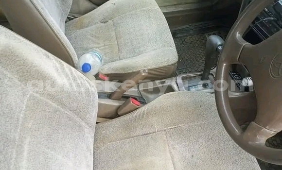 Buy Used Toyota Etios White Car in Bute in Northeast Kenya Buy Used Toyota Etios White Car in Bute in Northeast Kenya