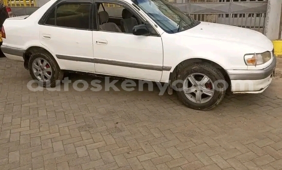 Buy Used Toyota Etios White Car in Bute in Northeast Kenya Buy Used Toyota Etios White Car in Bute in Northeast Kenya