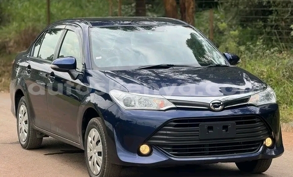 Oofamaa Toyota Axio Other Makiinaa iti Habaswein keessatti Northeast Kenya keessatti Oofamaa Toyota Axio Other Makiinaa iti Habaswein keessatti Northeast Kenya keessatti