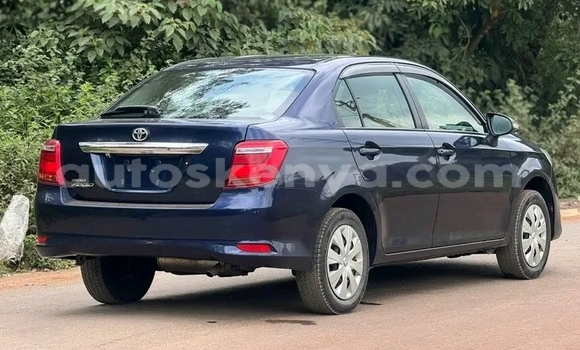 Oofamaa Toyota Axio Other Makiinaa iti Habaswein keessatti Northeast Kenya keessatti Oofamaa Toyota Axio Other Makiinaa iti Habaswein keessatti Northeast Kenya keessatti