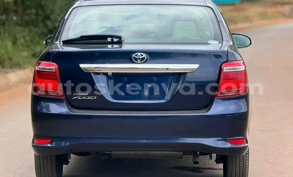Oofamaa Toyota Axio Other Makiinaa iti Habaswein keessatti Northeast Kenya keessatti Oofamaa Toyota Axio Other Makiinaa iti Habaswein keessatti Northeast Kenya keessatti