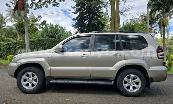 Oofamaa Toyota Prado Other Makiinaa iti Changamwe keessatti Coast keessatti Oofamaa Toyota Prado Other Makiinaa iti Changamwe keessatti Coast keessatti