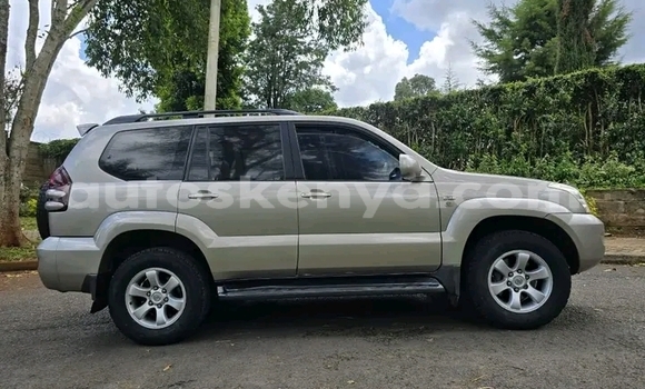 Oofamaa Toyota Prado Other Makiinaa iti Changamwe keessatti Coast keessatti Oofamaa Toyota Prado Other Makiinaa iti Changamwe keessatti Coast keessatti