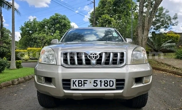Oofamaa Toyota Prado Other Makiinaa iti Changamwe keessatti Coast keessatti Oofamaa Toyota Prado Other Makiinaa iti Changamwe keessatti Coast keessatti