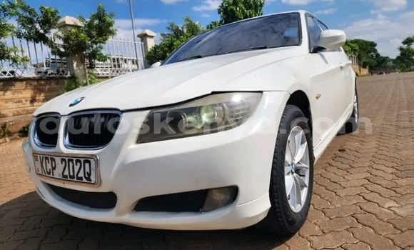 Oofamaa BMW 315 White Makiinaa iti Bute keessatti Northeast Kenya keessatti Oofamaa BMW 315 White Makiinaa iti Bute keessatti Northeast Kenya keessatti