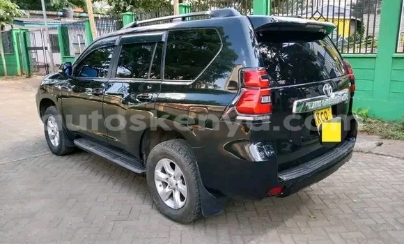 Oofamaa Toyota Prado Black Makiinaa iti Bute keessatti Northeast Kenya keessatti Oofamaa Toyota Prado Black Makiinaa iti Bute keessatti Northeast Kenya keessatti