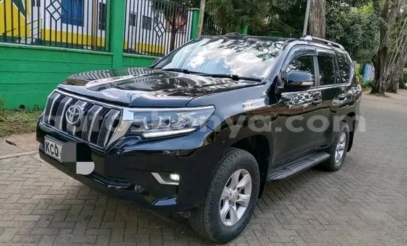 Oofamaa Toyota Prado Black Makiinaa iti Bute keessatti Northeast Kenya keessatti Oofamaa Toyota Prado Black Makiinaa iti Bute keessatti Northeast Kenya keessatti