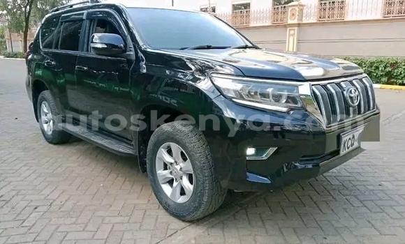 Oofamaa Toyota Prado Black Makiinaa iti Bute keessatti Northeast Kenya keessatti Oofamaa Toyota Prado Black Makiinaa iti Bute keessatti Northeast Kenya keessatti