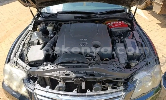 Oofamaa Toyota Prado Black Makiinaa iti Bute keessatti Northeast Kenya keessatti Oofamaa Toyota Prado Black Makiinaa iti Bute keessatti Northeast Kenya keessatti