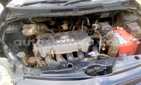 Oofamaa Toyota Probox White Makiinaa iti Busia keessatti West Kenya keessatti Oofamaa Toyota Probox White Makiinaa iti Busia keessatti West Kenya keessatti