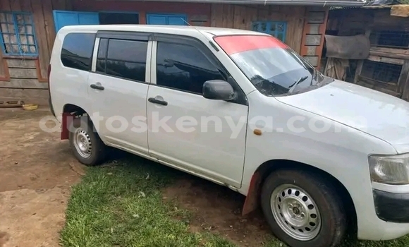 Oofamaa Toyota Probox White Makiinaa iti Busia keessatti West Kenya keessatti Oofamaa Toyota Probox White Makiinaa iti Busia keessatti West Kenya keessatti