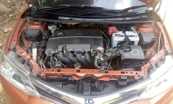 Oofamaa Toyota Fielder Other Makiinaa iti Busia keessatti West Kenya keessatti Oofamaa Toyota Fielder Other Makiinaa iti Busia keessatti West Kenya keessatti