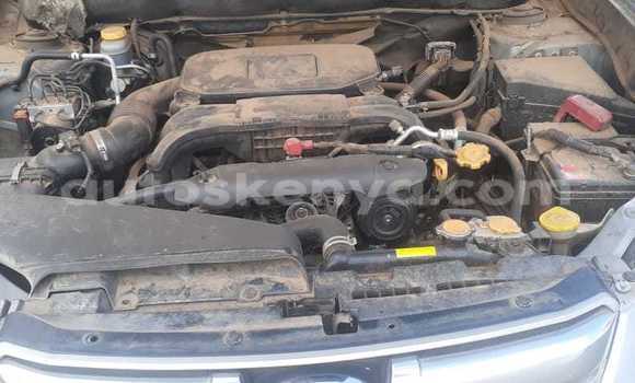 Buy Used Subaru Forester Silver Car in Nairobi in Nairobi Buy Used Subaru Forester Silver Car in Nairobi in Nairobi