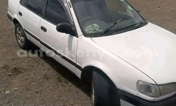 Buy Used Toyota AE91 White Car in Bungoma in West Kenya Buy Used Toyota AE91 White Car in Bungoma in West Kenya