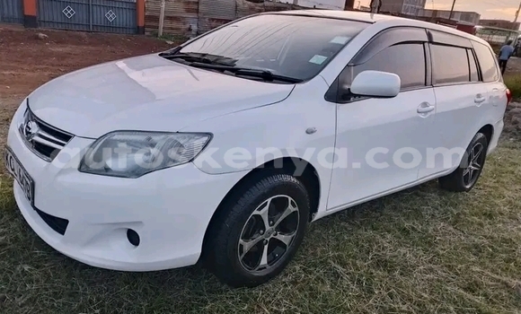 Buy Used Toyota Fielder White Car in Bute in Northeast Kenya Buy Used Toyota Fielder White Car in Bute in Northeast Kenya