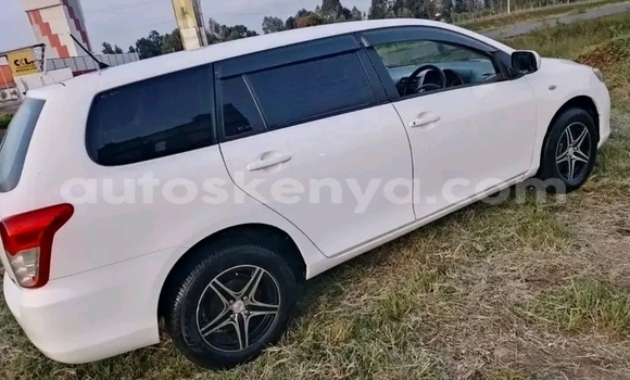 Buy Used Toyota Fielder White Car in Bute in Northeast Kenya Buy Used Toyota Fielder White Car in Bute in Northeast Kenya