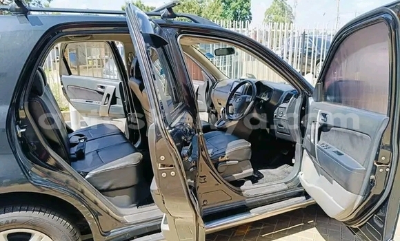 Buy Used Toyota Rush Black Car in Bute in Northeast Kenya Buy Used Toyota Rush Black Car in Bute in Northeast Kenya