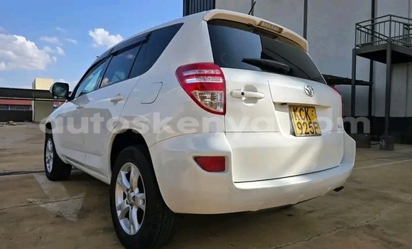 Buy Used Toyota RAV4 White Car in Bute in Northeast Kenya Buy Used Toyota RAV4 White Car in Bute in Northeast Kenya