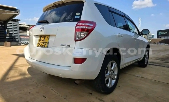 Buy Used Toyota RAV4 White Car in Bute in Northeast Kenya Buy Used Toyota RAV4 White Car in Bute in Northeast Kenya