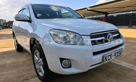 Buy Used Toyota RAV4 White Car in Bute in Northeast Kenya Buy Used Toyota RAV4 White Car in Bute in Northeast Kenya