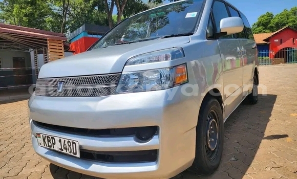 Buy Used Toyota Voxy Other Car in Bute in Northeast Kenya Buy Used Toyota Voxy Other Car in Bute in Northeast Kenya