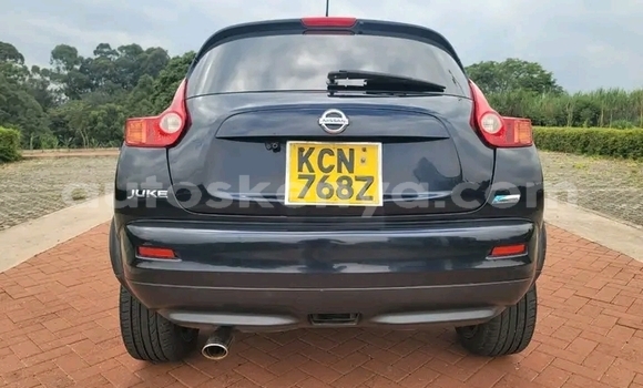 Buy Used Nissan Juke Black Car in Bute in Northeast Kenya Buy Used Nissan Juke Black Car in Bute in Northeast Kenya