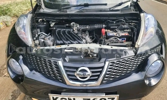 Buy Used Nissan Juke Black Car in Bute in Northeast Kenya Buy Used Nissan Juke Black Car in Bute in Northeast Kenya