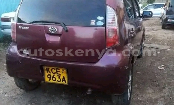 Buy Used Toyota Passo Red Car in Bute in Northeast Kenya Buy Used Toyota Passo Red Car in Bute in Northeast Kenya