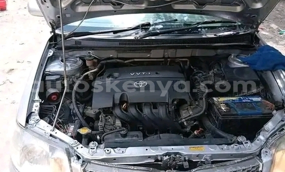 Buy Used Toyota Fielder Other Car in Bute in Northeast Kenya Buy Used Toyota Fielder Other Car in Bute in Northeast Kenya