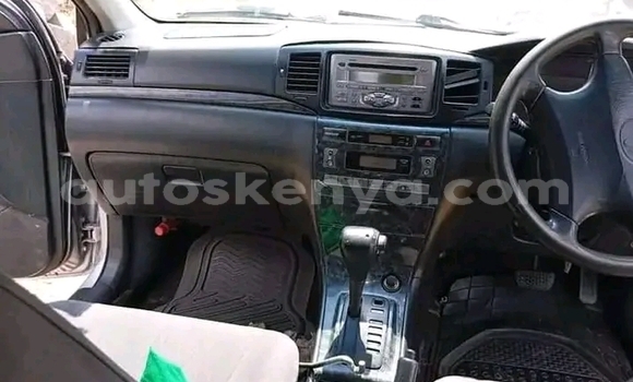 Buy Used Toyota Fielder Other Car in Bute in Northeast Kenya Buy Used Toyota Fielder Other Car in Bute in Northeast Kenya