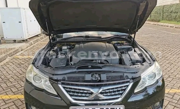 Buy Used Toyota Mark X Black Car in Bute in Northeast Kenya Buy Used Toyota Mark X Black Car in Bute in Northeast Kenya