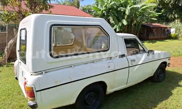 Buy Used Nissan Datsun White Car in Habaswein in Northeast Kenya