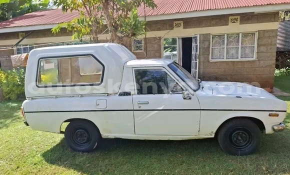 Buy Used Nissan Datsun White Car in Habaswein in Northeast Kenya Buy Used Nissan Datsun White Car in Habaswein in Northeast Kenya
