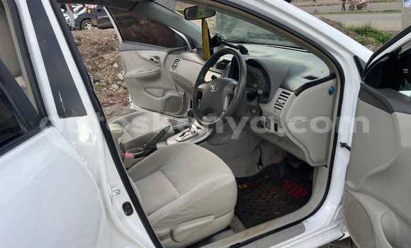 Nunua Ilio tumika Toyota Axio Nyeupe Gari ndani ya Nairobi nchini Nairobi Nunua Ilio tumika Toyota Axio Nyeupe Gari ndani ya Nairobi nchini Nairobi